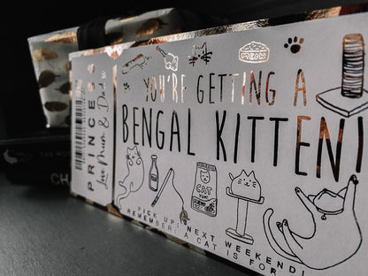 New Kitten Reveal Foil Ticket